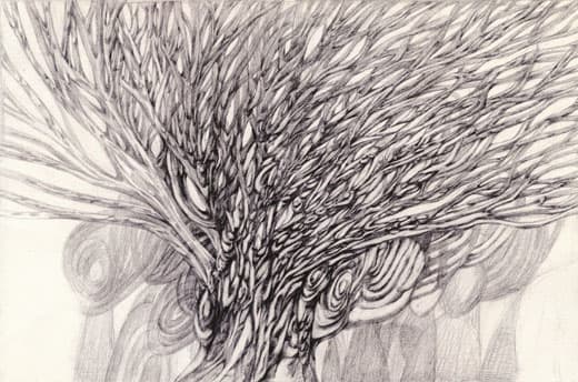 2. 섬 바람 뿌리, 종이에 연필 , 40cm✕30cm , 2016