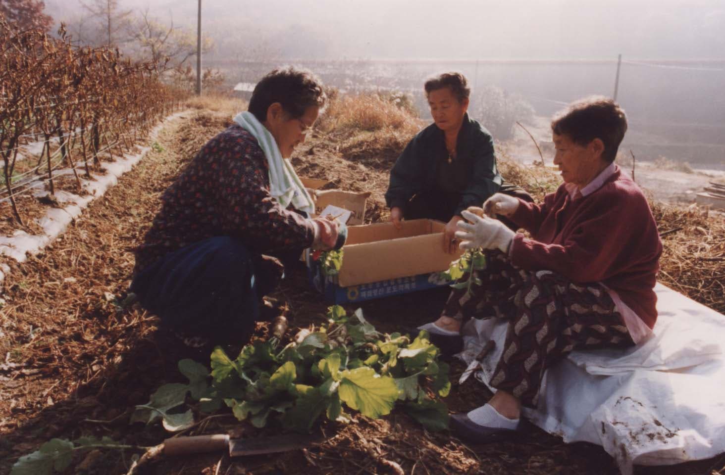 낮은 목소리 2 (Habitual Sadness), 변영주, 1997, 71min
