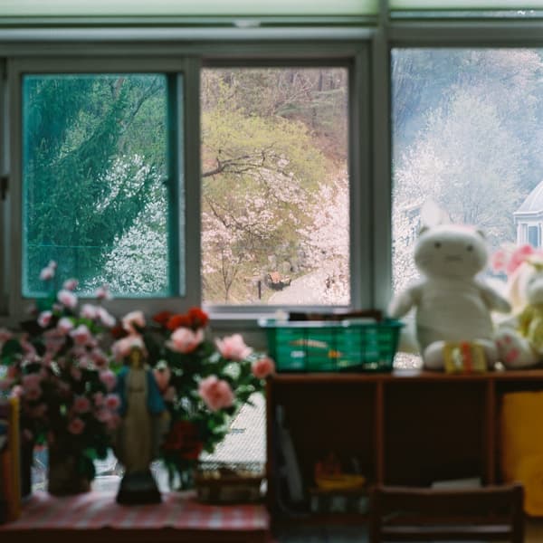 (c) 우해미