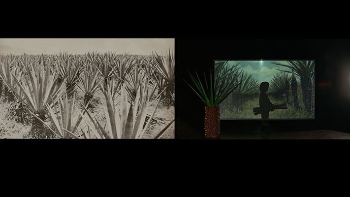 이야기의 역사, 역사의 이야기, 김하경 달린, 2014, 27min