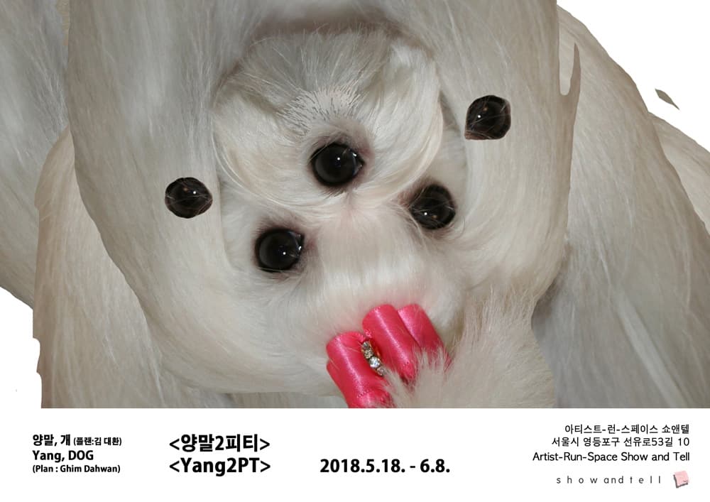 김대환 개인전 : 양말2피티 Yang2pt 1