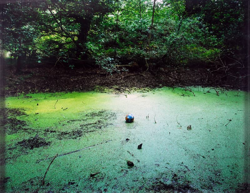 박형근_Tenseless #5, Swamp