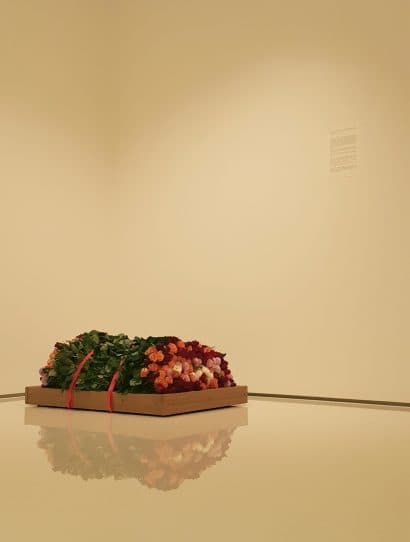 김시하, 고백의 한계 the limitations of confession, 가변설치, 생화, 벨트, 방칼라이 원목, 2016