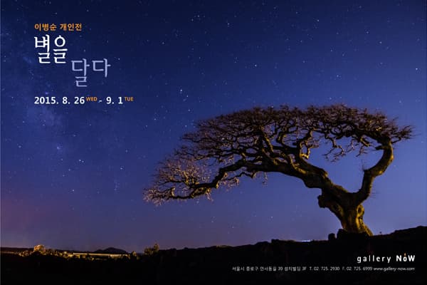 이병순 개인전 : 별을 달다 1