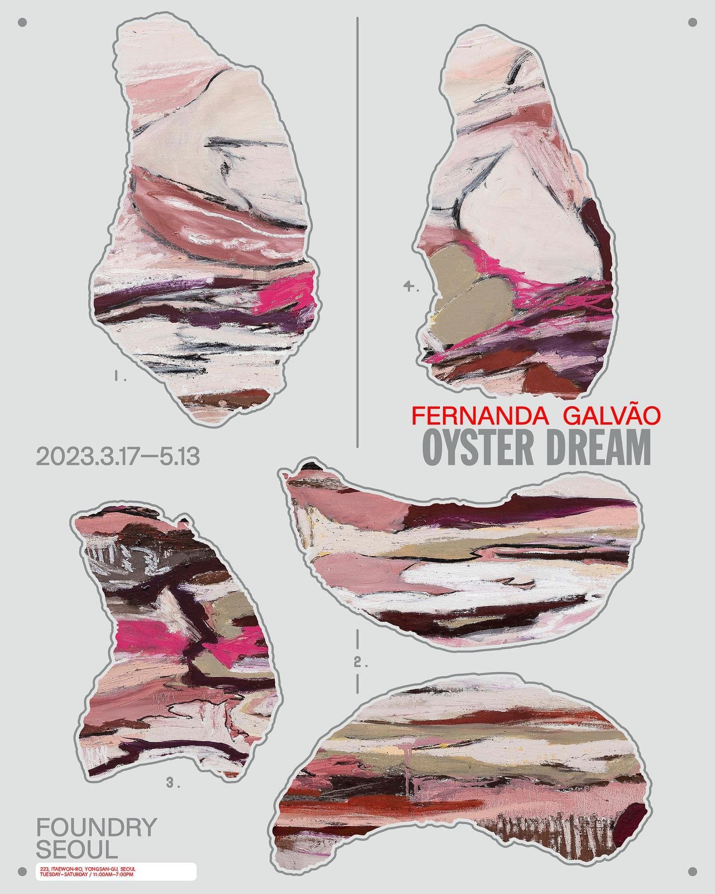 FERNANDA GALVÃO: OYSTER DREAM 1