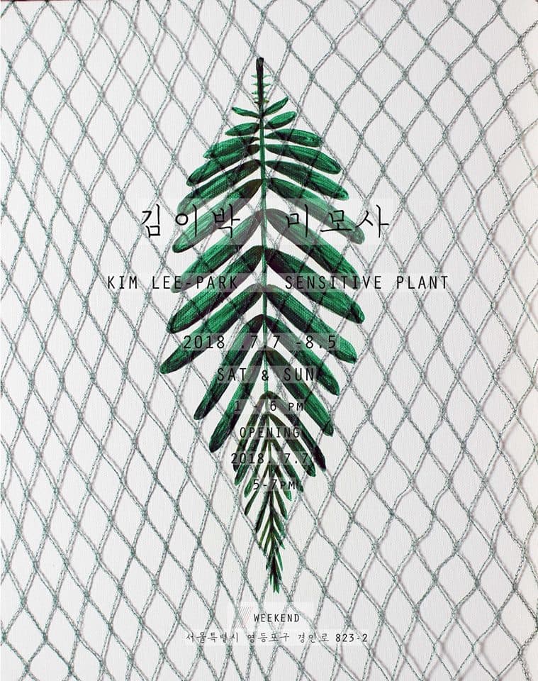 김이박 개인전 : 미모사 KIM LEE-PARK : Sensitive plant 1