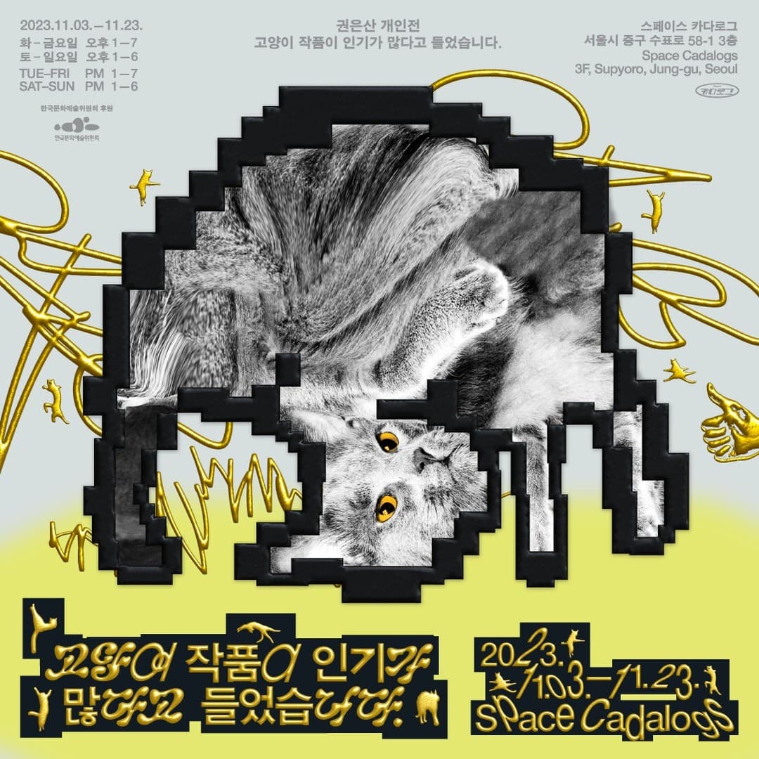 권은산 개인전: 고양이 작품이 인기가 많다고 들었습니다 1