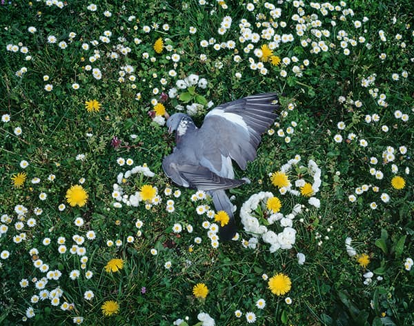 박형근. Tenseless-79, Fallen, C print, 150x190cm, 2015