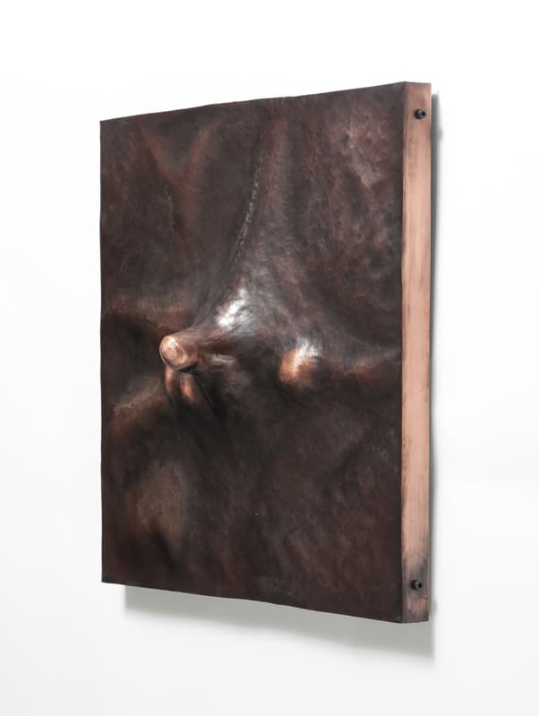 전인환_behavior series (arouse curiosity)_copper_400x400mm_2017