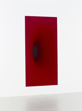 아니시카푸어 Anish Kapoor, 나의 몸 너의 몸, 1999, 섬유유리와 안료, 254×124.5×188.3, 삼성미술관 Leeum 소장