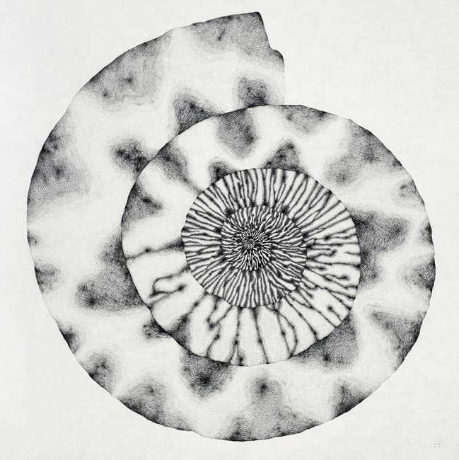차영석, Something_s-02, 2017, Pencil on paper, 91 x 91 cm
