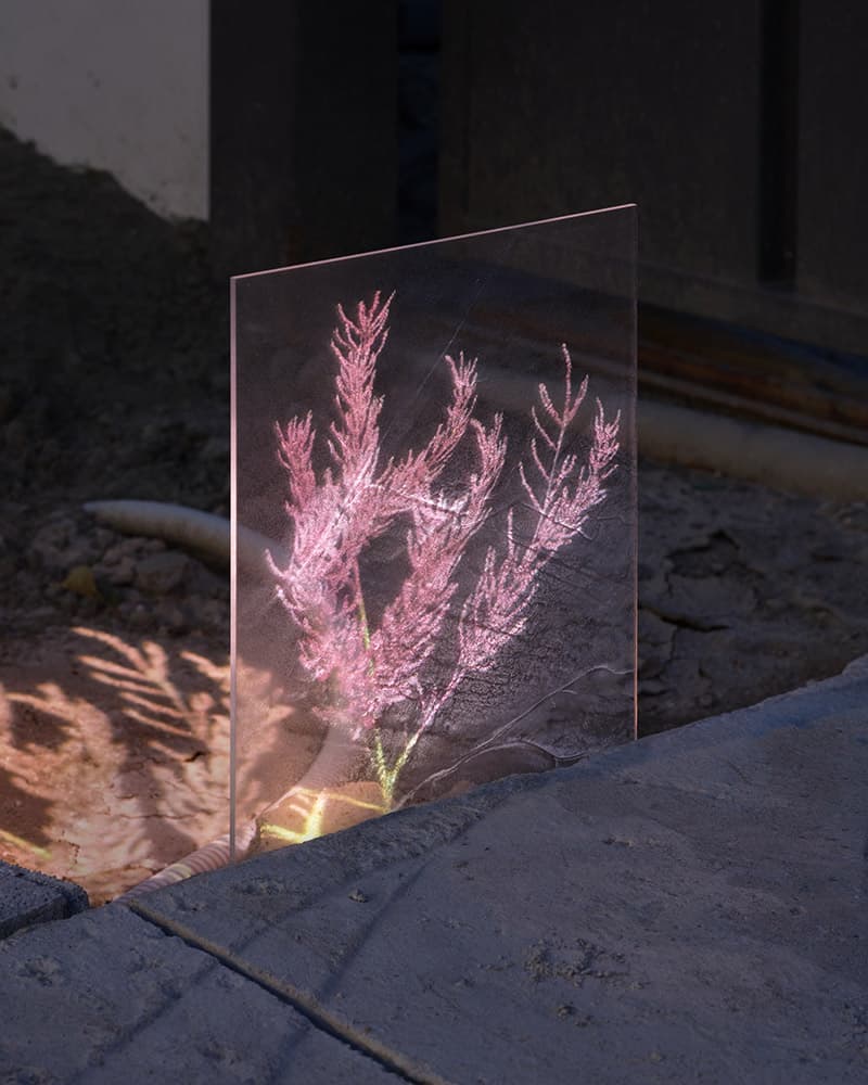 Overlayer #07, 2020, Pigment Print, 104 x 130cm