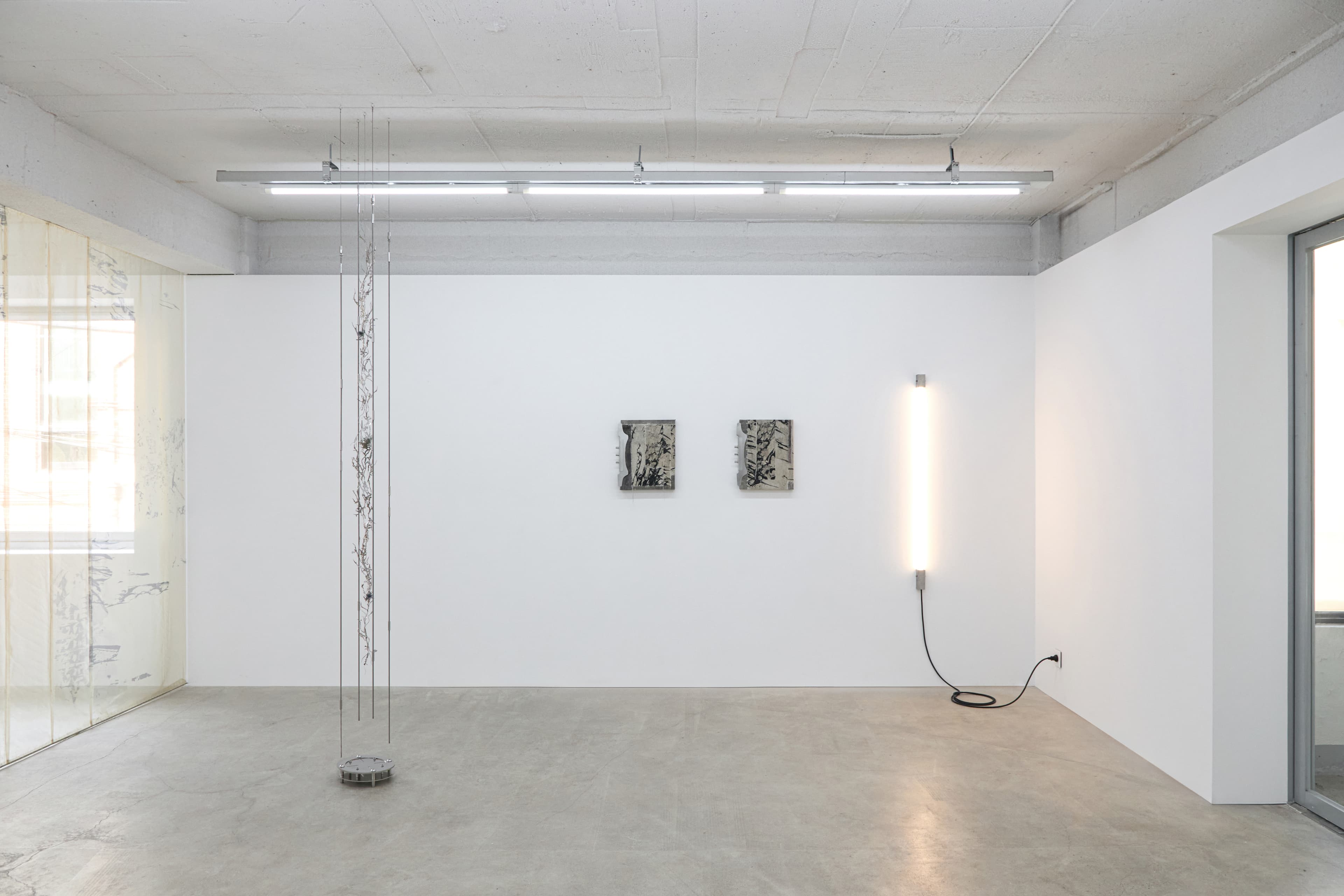 Inside Job (Ula Lucińska, Michał Knychaus), Axial Veil, exhibition view, CAPTION, Seoul, 2026,  photo: Bokyoung Han