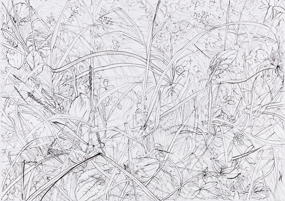 김제민, 무심한 풍경_종이에 먹_75x105.5cm_2016