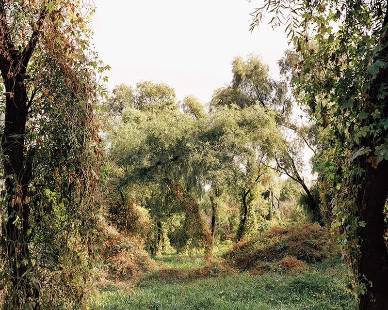 ⓒ 김승구, 밤섬 001, 2011, Pigment Print, 40cm x 50cm