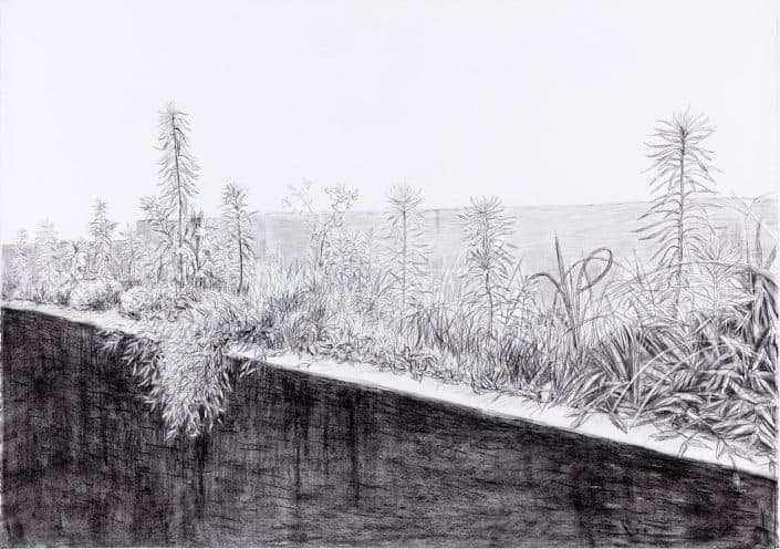 김제민, 무심한 풍경_종이에 목탄_75x105.5cm_2016