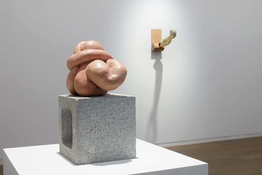 View of SARAH LUCAS: Supersensible, Works 1991-2012 Photography by SangTae Kim