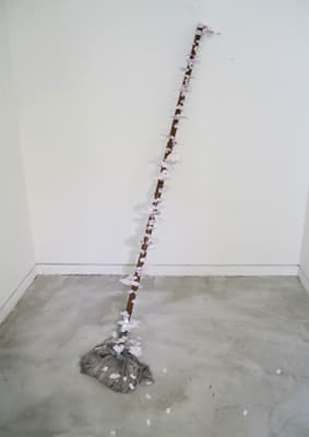 이동욱, black spotted turkey tail mushroom, mixed media, 2014