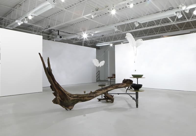 한진수 Jinsu Han 리퀴드 메모리 Liquid Memory 2017 나무, 실, 글리세린, 염료, 스틸, 낚시추, 세라믹, 놋쇠구슬, 녹쇠컵, 녹쇠게 Dimensions variable Courtesy of the artist and GALLERY SU: