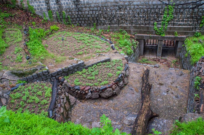 클레가 개인전 : 지역적 마련 Klega : Local Arrangements 3