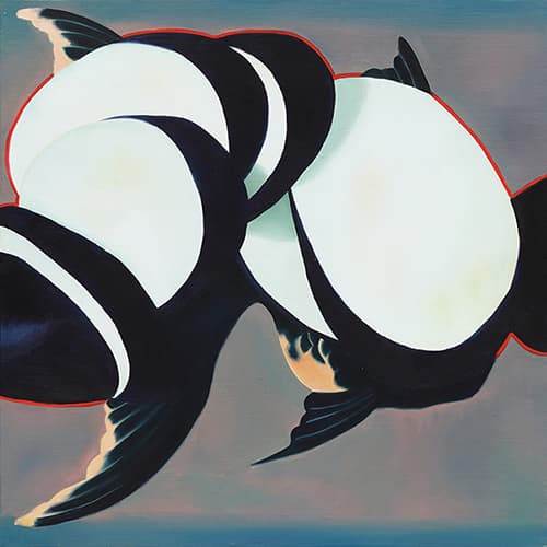 신채희, 건강한 식사, 50x50cm, oil on canvas, 2018