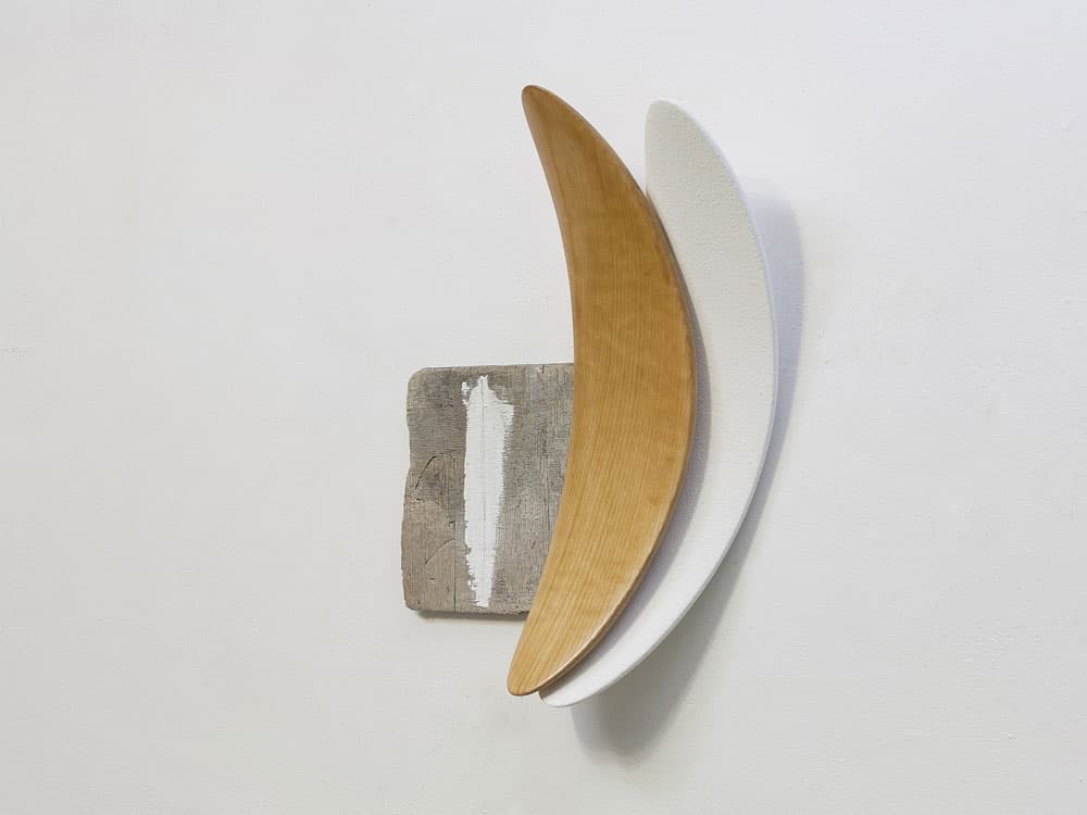 이정태, SP-1, 35x12x45, Color on waste wood, 2016