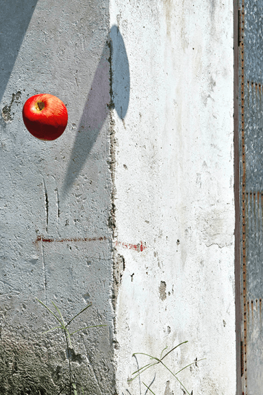 안준, One Life (2015) #011 20” x 30”   HDR Ultrachrome Archival Pigment Print  1 of 5