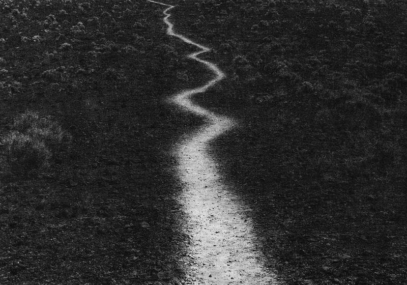 Jungjin Lee. Voice 28, 2019 (Ed. 1/3 + 2AP), Archival Pigment Print(Inkjet print), 152.5 x 213.3 cm(paper size). Courtesy of the artist & PKM Gallery.