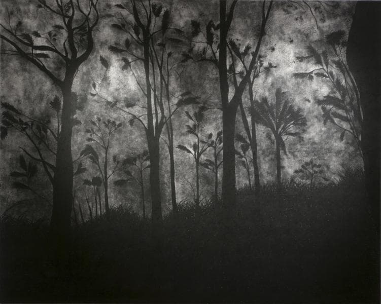 서윤아_젖은 숲_181.8cm x 227.3cm_Charcoal on paper_2013