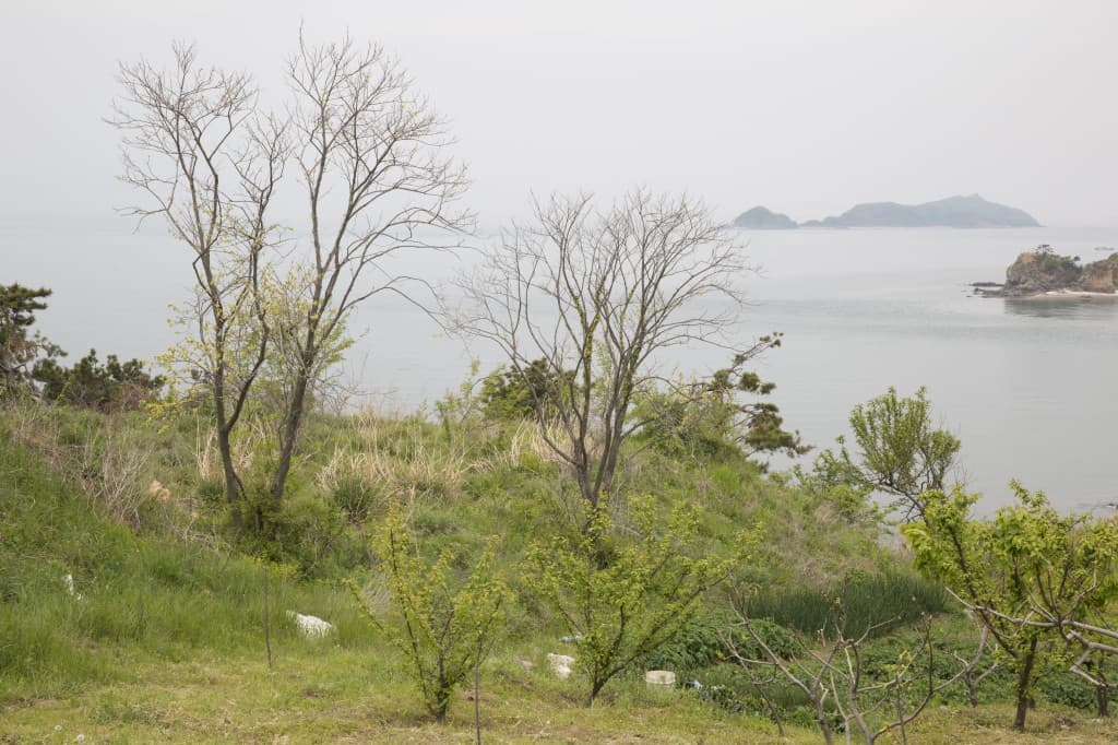 동산의 봄_60x90cm_pigment print_2013