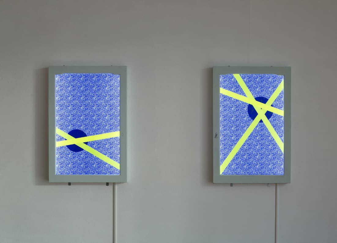 김윤경, Viruscape_ Suture No.2, No.3  라이트패널, 헌창문 74.5x111x7.5cm/ 74.5x111.5x7.5cm 2018