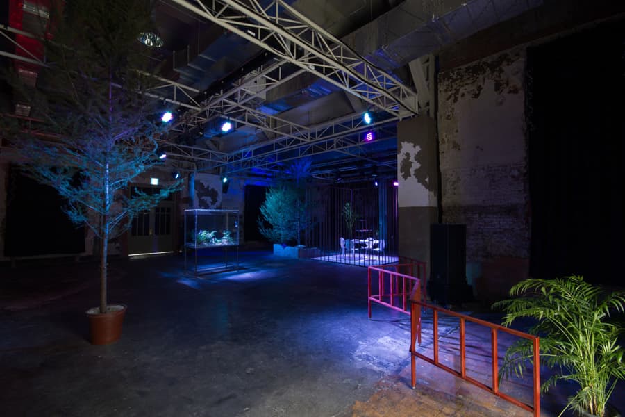 김시하, visual garden-tropical night, 가변크기, 설치, 2014