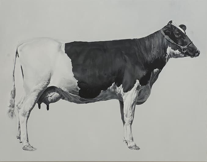 김성윤 개인전 : Earth, Bone, colour