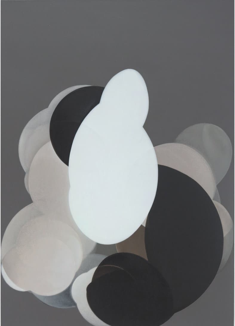 홍수연, Deformable round 캔버스에 아크릴, 혼합재료, 91x65cm, 2010