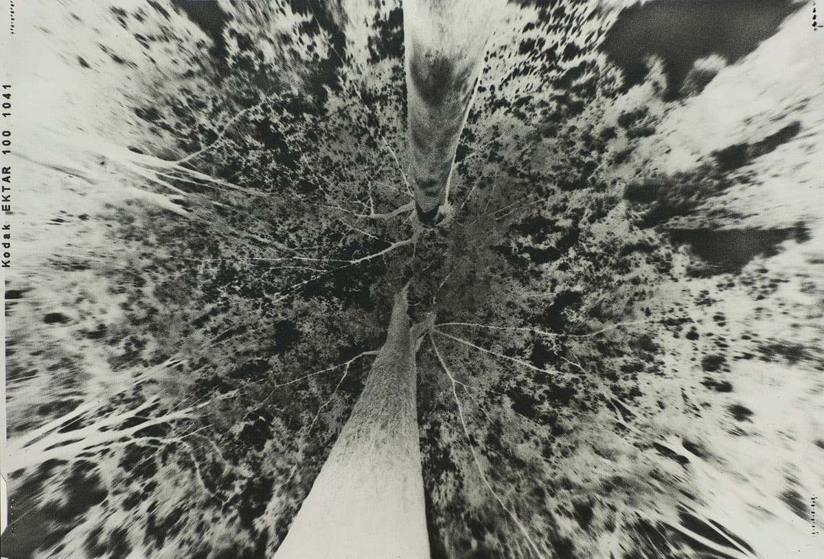 주도양, The Negative VII, Gum Bichromate_ Handmade Pinhole Camera_790x1120mm_2016