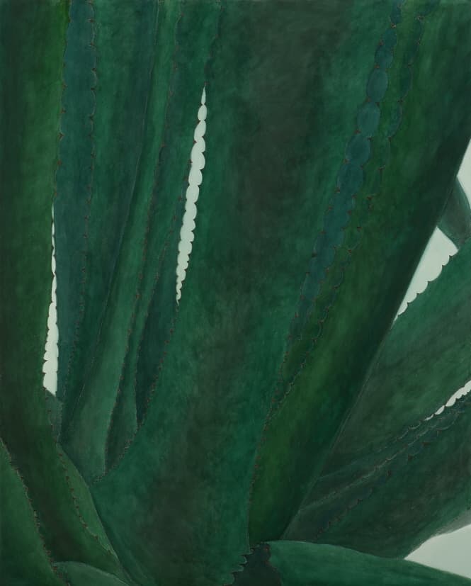 김보희, 투워즈, 2009, 천 위에 채색, 160x130cm