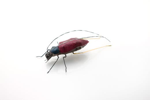 하늘소 long-horned beetle , frog’s skin sterling silver beeds polymer clay oxidized gold plated , 13 x 24.5x 6.2 cm, 2016