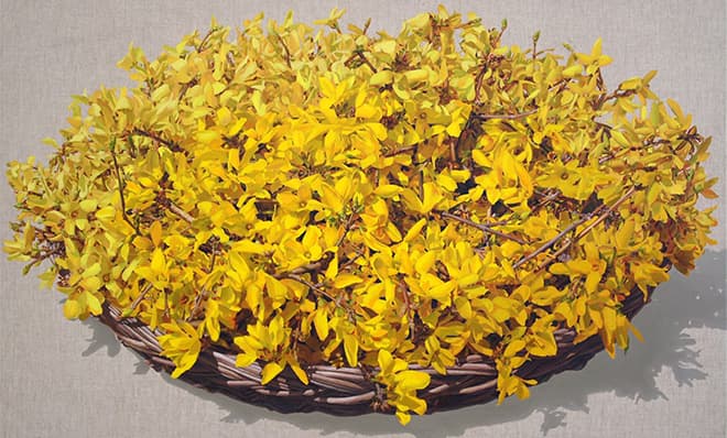 주 영, 개나리, 2014, oil on canvas, 75x120cm