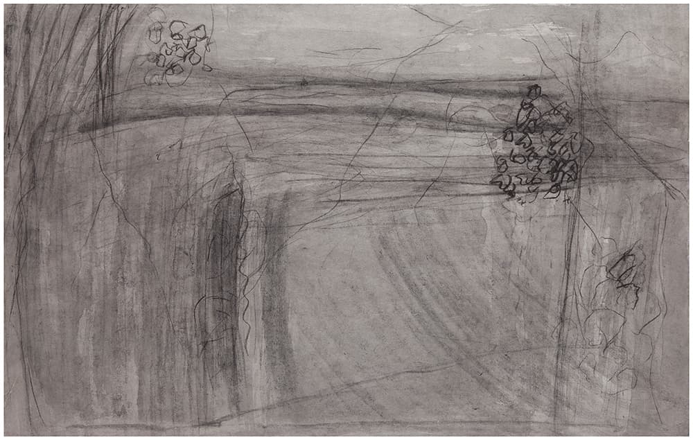 장현주, woods 12, 장지에 먹/목탄, 49x70cm, 2014