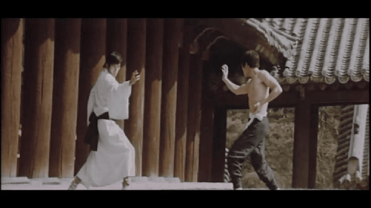 르네 비에네, <변증법은 벽돌을 깰 수 있는가>, 1973