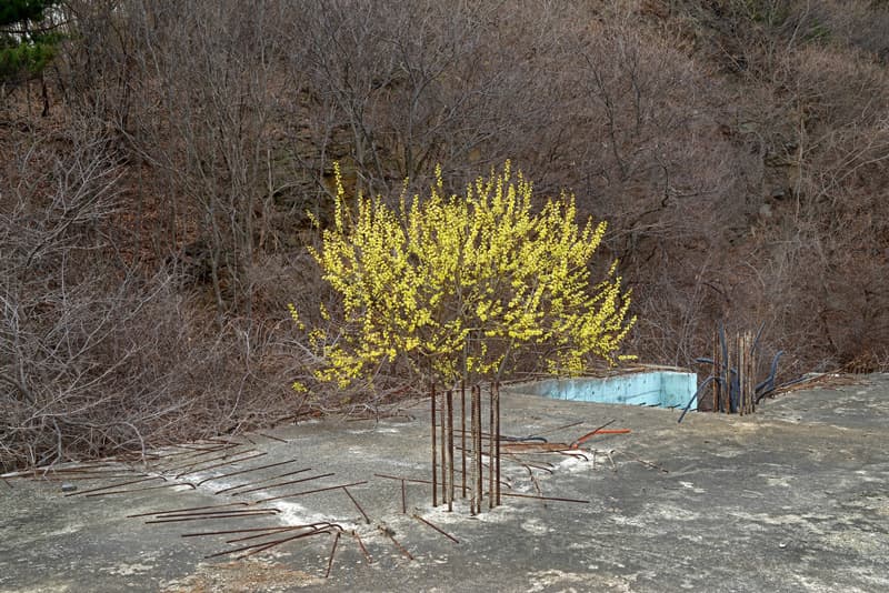 김전기 <보이지 않는 풍경> _ blind Spot #12, C-print, 60x90cm, 2016