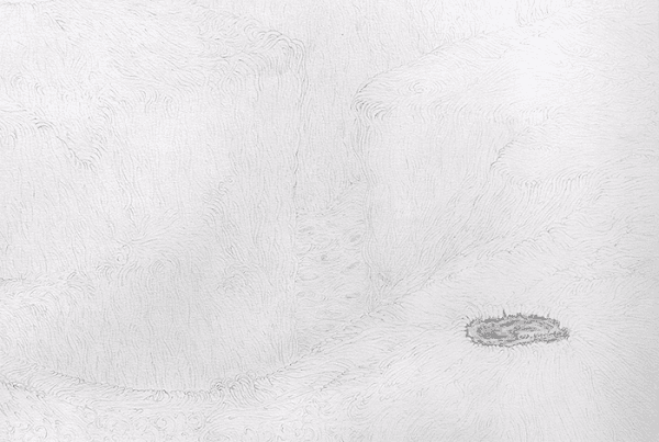 Amorphic Scape, 2012 Pencil on Paper 70 x 150cm