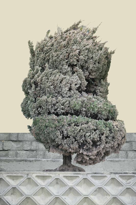 장성은_불가능한 풍경2, Archival Pigment Print, 32X48cm, 2019