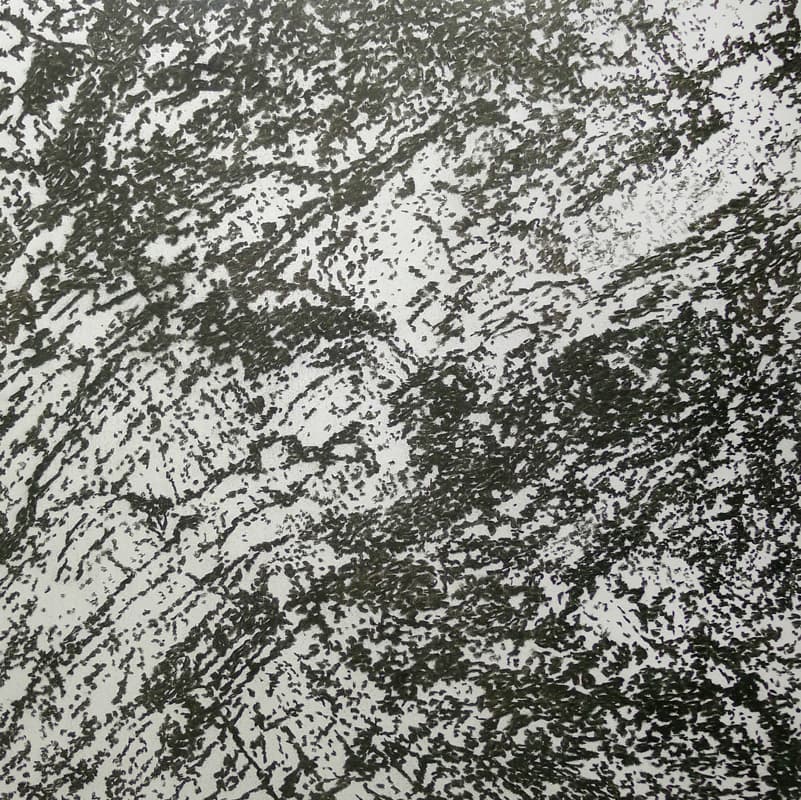 이영호, 감춰진 것을 드러내는(Interpèrte),  112.3X112cm, 장지위에 석채, 목탄,먹, 2018
