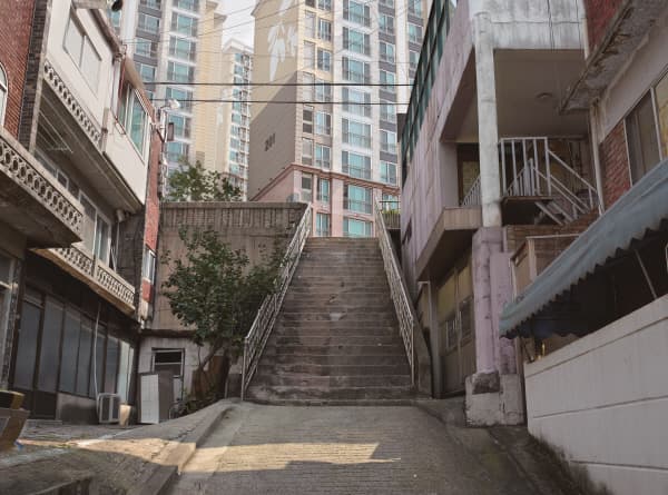 (c)김태동