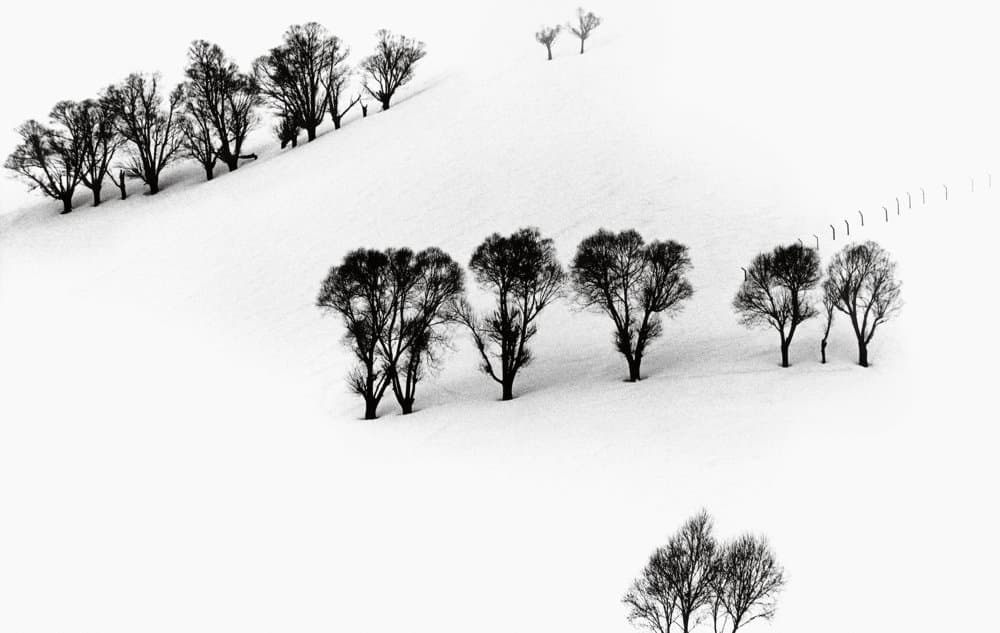 Abbas Kiarostami, Snow No.39, 57 x 90 cm, Digital print on rag paper, 2002 이미지제공 : 소울아트스페이스