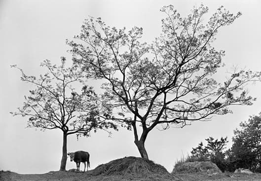 사진가 김종수 40주년 회고전 : 토지 3