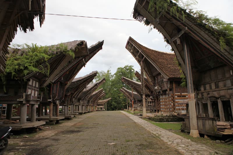 소수민족 의례 및 문화 연구 현지조사, 인도네시아 술라웨시(Sulawesi) 토라자(Toraja) 지역의 전통 가옥