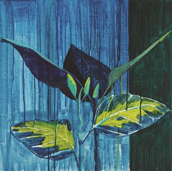 You are not alone.-siam tree2_acrylic, charcoalon canvas_60 x 60 Cm_2014