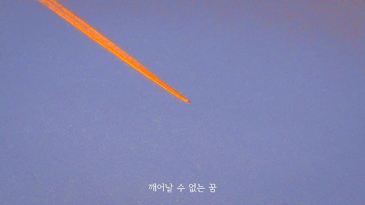황민규, <야생 속으로>, 단채널 영상, 00:12:00, 2020  Hwang Minkyu, 〈Into the wild〉, Single Channel Video, 00:12:00, 2020